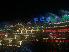 -枇杷园食为鲜火锅(南山店)