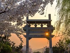 -樱花山风景区