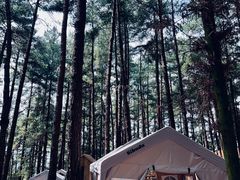 -重庆睡佛山森林公园
