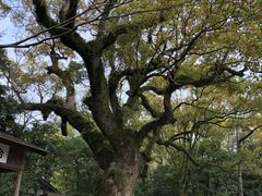 -热田神宫