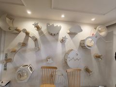 -楼上猫咖(罗湖店)