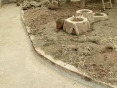 -石家庄市动物园