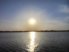 -丁香湖公园