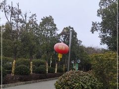 -上海海湾国家森林公园