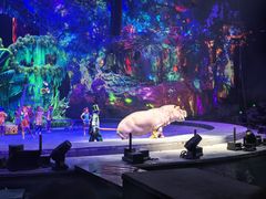 -广州长隆国际大马戏
