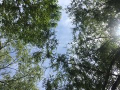 -长春市十一高中