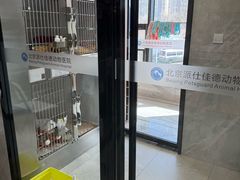 -北京派仕佳德动物医院·超导核磁·CT·神经科·骨科·内外科·急重症管理中心