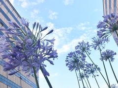 -Wagas沃歌斯(大学路店)