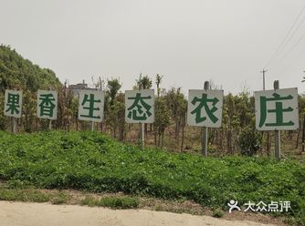 哇塞好多樱桃，棒棒哒，岗集离家也不远，正好中午来喝个