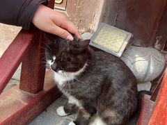 -长春观