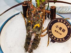 -喜聚薈·花膠雞海鮮火鍋(越秀店)