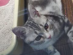 -乐宠宠物店(世纪金源店)