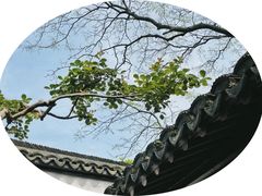 -上海醉白池公园