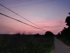 -贝壳沙滩