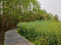 -桤木河湿地公园