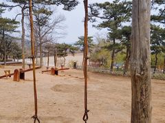 -北京西山国家森林公园