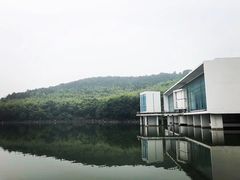 -苏州城市学院
