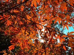 -长沙市青少年宫