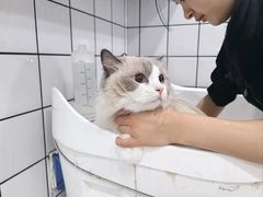 -BABIT巴比特宠物(MOMOPARK店)