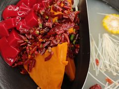 -阳阳老火锅(小南门店)