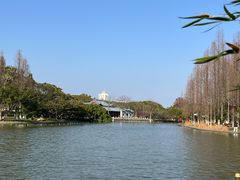 -江心屿景区