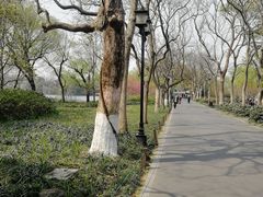 -苏堤停车场