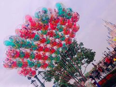 景点-上海迪士尼度假区