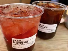 每日树莓桑葚-下酒(华熙店)