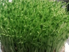 -好彩猪肚鸡(正弘城店)