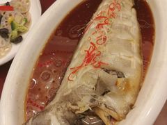 -金狮麟·新豫菜(金码大厦店)
