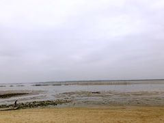 -北海金海湾红树林生态旅游区