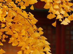 -承恩寺
