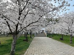 -苏州上方山国家森林公园