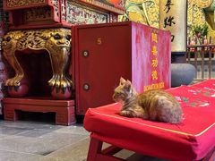 -龙华素斋(龙华路店)