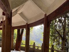 -水濂山森林公园