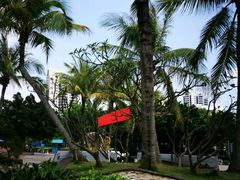 -白沙门生态公园