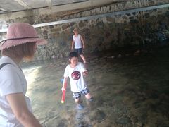 -藏龙百瀑风景区