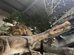 -湖南省地质博物馆