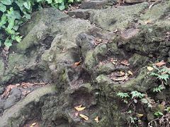 -海口火山口国家地质公园