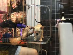 -Goku PET SHOP宠物视觉生活馆(双井店)