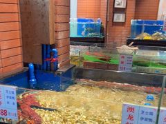 -广东道至正餐厅(区庄店)