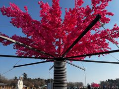 -长春市南湖公园