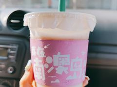 -南澳岛打卡果汁冰公司