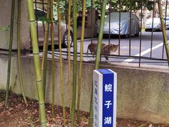 -宝岛公园
