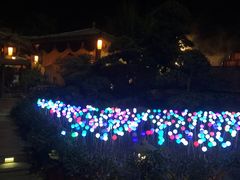 -杭州第一世界大酒店·云曼温泉