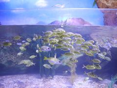-乌鲁木齐海洋馆