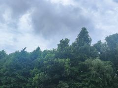 -同里国家湿地公园