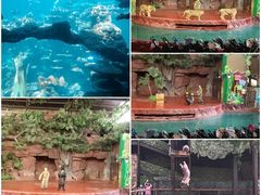-长鹿旅游休博园