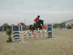 -松声马术俱乐部