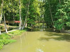 -桤木河湿地公园